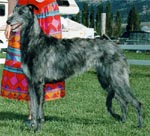 smkelpie[1].jpg (15777 bytes)